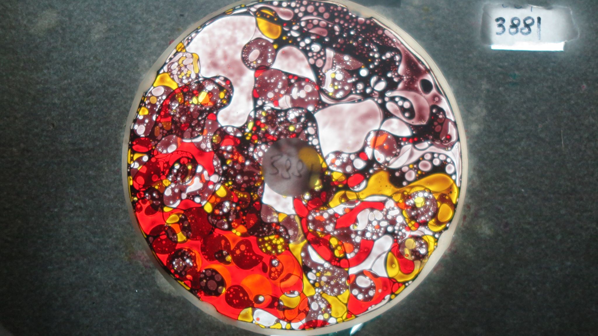 BV3881 bubble vision oil wheel